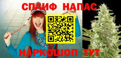 крисы Кинель