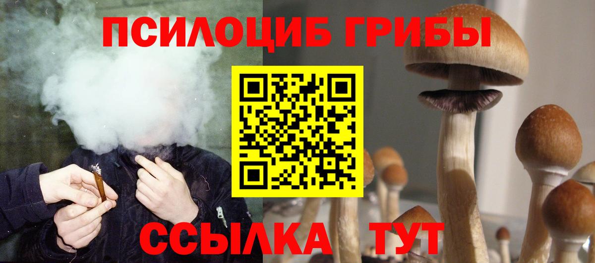 Галлюциногенные грибы Magic Shrooms  Вход с VPN  Псилоцибиновые грибы Psilocybine cubensis  Ярославль 